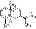 The eudesmane skeleton upon which dictyophorines are based