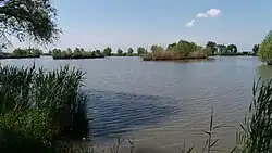 Anglers' pond
