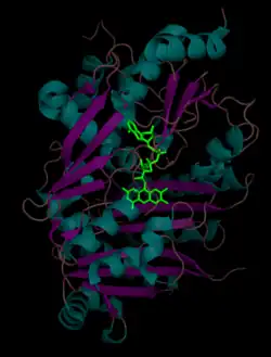 FAD cofactor (in green) is located between domain I and domain II of THCA synthase. Alpha helices are cyan and beta sheets are magenta.