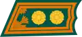 Lieutenant Colonel