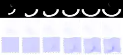 Figure showing dense image mtaching LDDMM for transporting a curved motion.