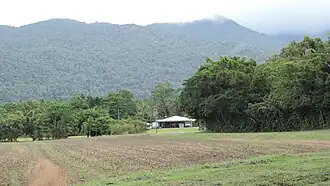 Farm with Bellenden Ker Range in the background, 2018
