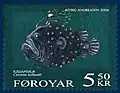 FO 545: Tussafiskur - deep-sea angler (Ceratias holboelli)