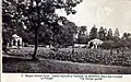 Vegetable garden of the Agricultural and Horticultural Institute of Bierbais.