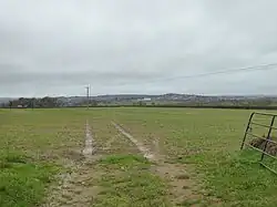 Field near Holbrook Farm