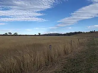 Fields along Grandchester Mount Mort Road, 2015