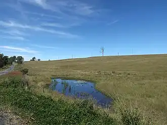 Fields along Rosewood Warrill View Road, 2015