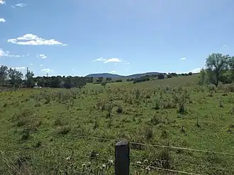 Fields at Hoya, 2016