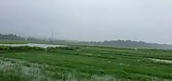 Camurlim Fields from NH17 road