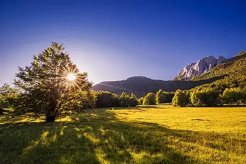 Velebit field