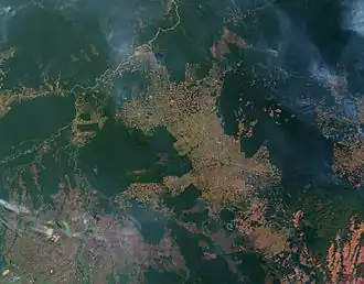 Fires and deforestation in the state of Rondônia.