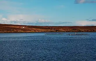A fish farm in Gutter Sound, at the western side of Fara