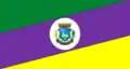 Flag of Coronel Pilar