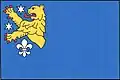 Flag of Štětkovice