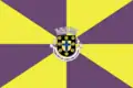 Flag of Albergaria-a-Velha