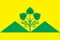 Flag of Tolon