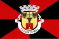 Flag of Beja