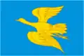 Flag of Belinsky