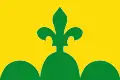 Flag of Bellpuig