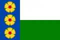 Flag of Bezděkov nad Metují