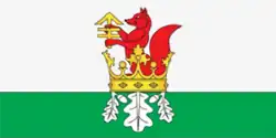 Flag of Byerazino district