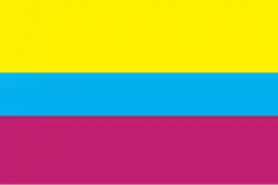 Flag of Borova Raion