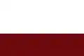 Flag of Choachí