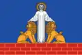 Flag of Danilovka