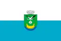 Flag of Darnytskyi District