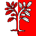 Flag of Davesco-Soragno