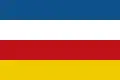 Flag of Dokkum
