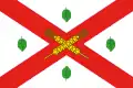 Flag of Dondușeni