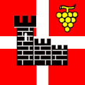 Flag of Gorduno