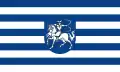Flag of Harkakötöny