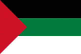 Flag under Arab administration (1918–1921)