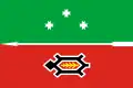 Flag of Igrinsky District