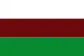 Flag of Jenesano