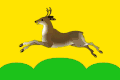 Flag of Kochkovsky District