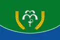 Flag of Kumyonsky District