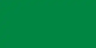 The former flag of Libya (1977–2011) was the only flag in the world with a single color and no design or details.