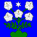 Flag of Mézières