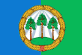 Flag of Mamontovsky District