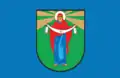 Flag of Mlyniv Raion