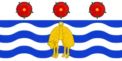 Flag of Napier