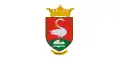Flag of Nemesszalók