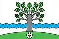Flag of Nová Buková