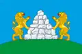 Flag of Opochetsky District
