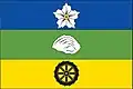 Flag of Ostrov