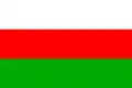 Flag of Prague 9
