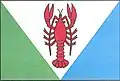 Flag of Račice